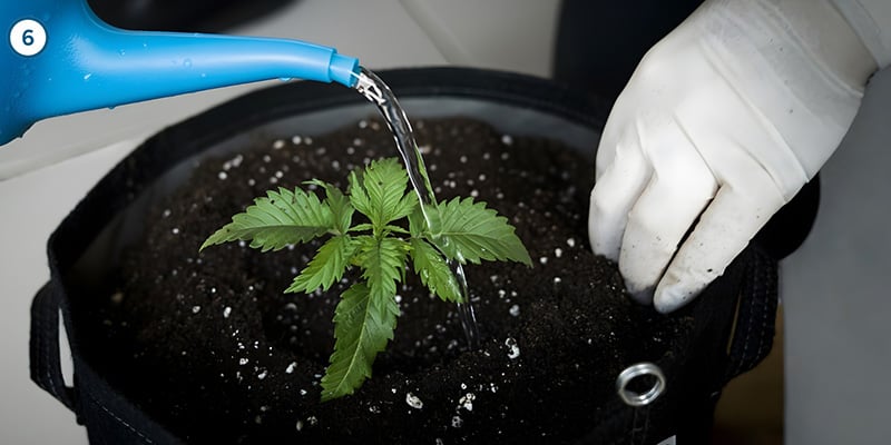 De daadwerkelijke verhuizing