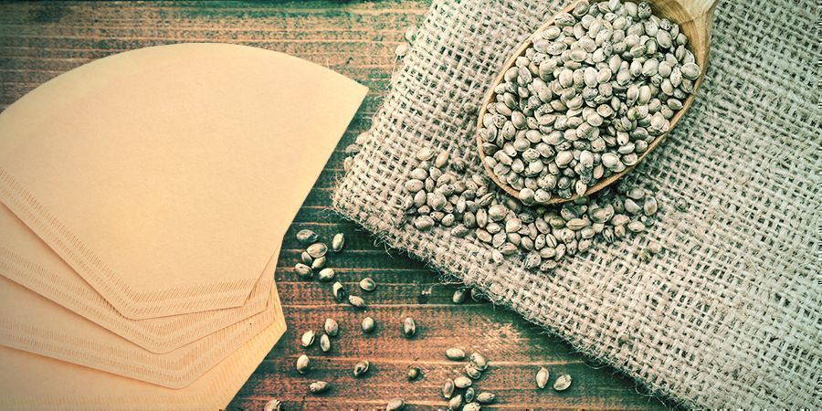 Cannabis Zaden Ontkiemen: Koffiefilter