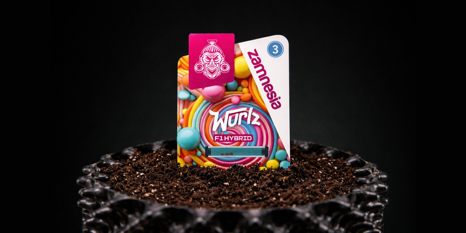 Autoflower zaden ontkiemen