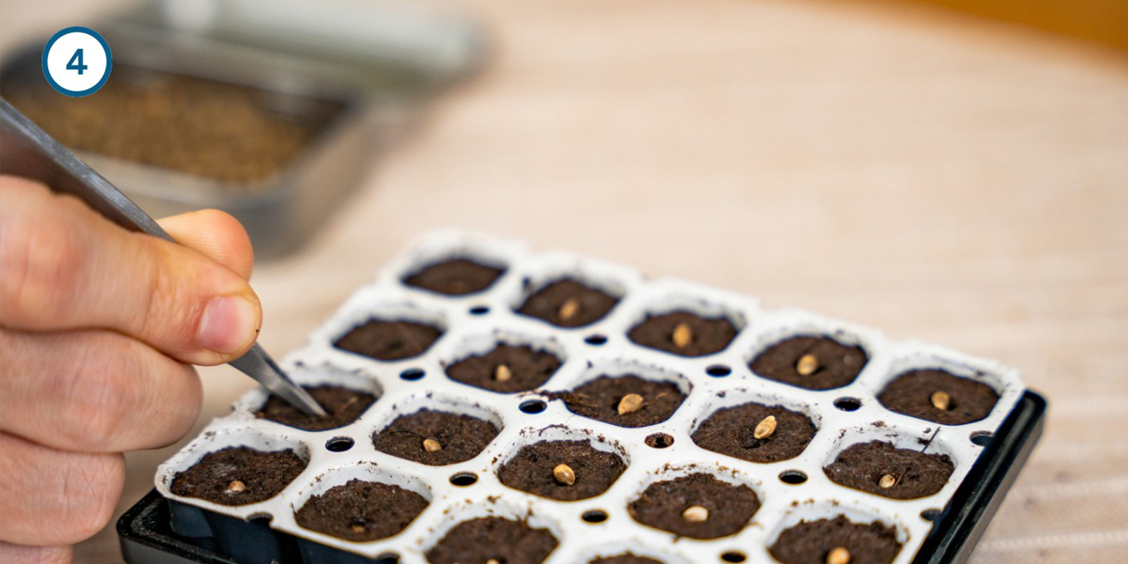 Methode met ontkiemkit