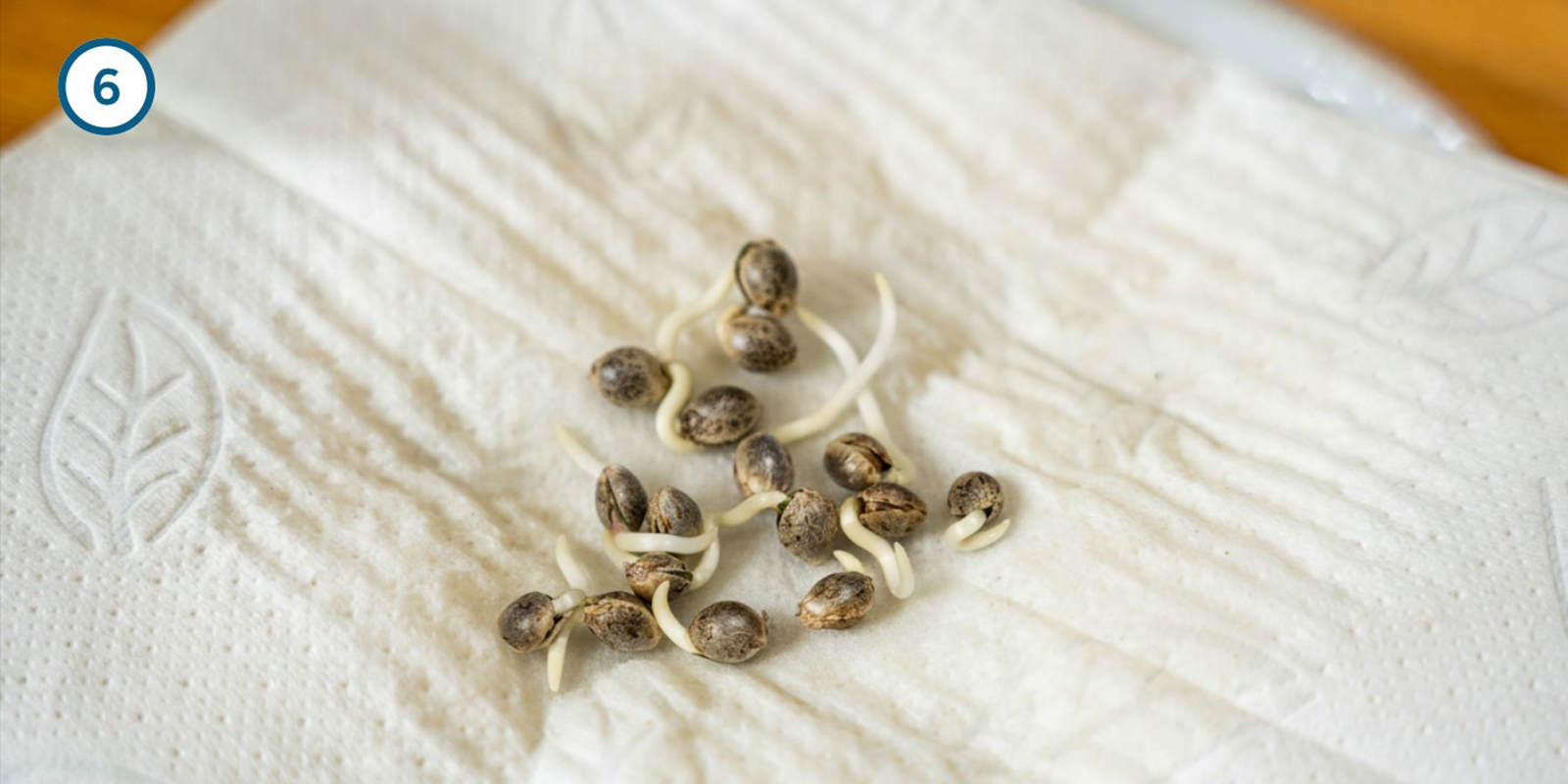 Keukenpapier-methode