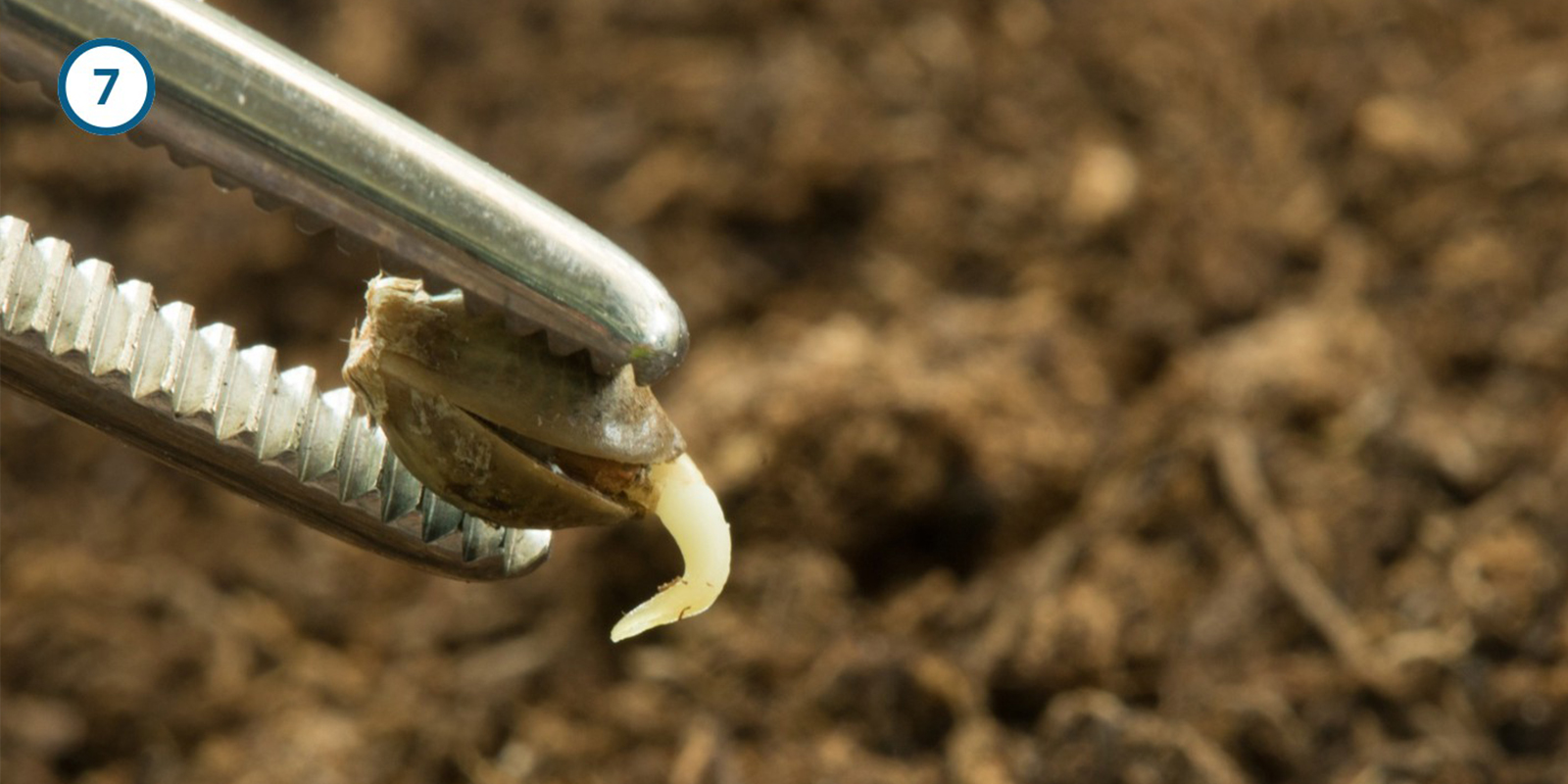 Keukenpapier-methode