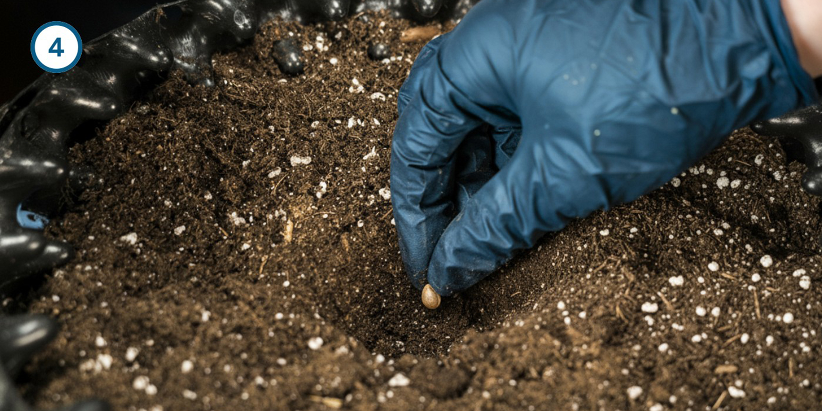 Methode direct in aarde