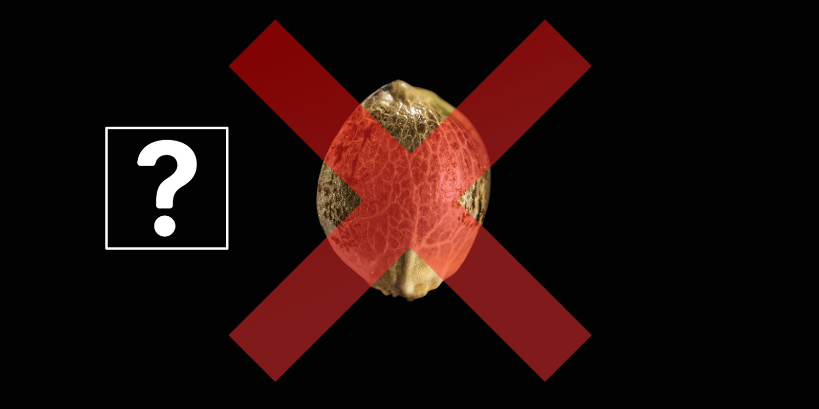 Problemen met ontkiemen oplossen