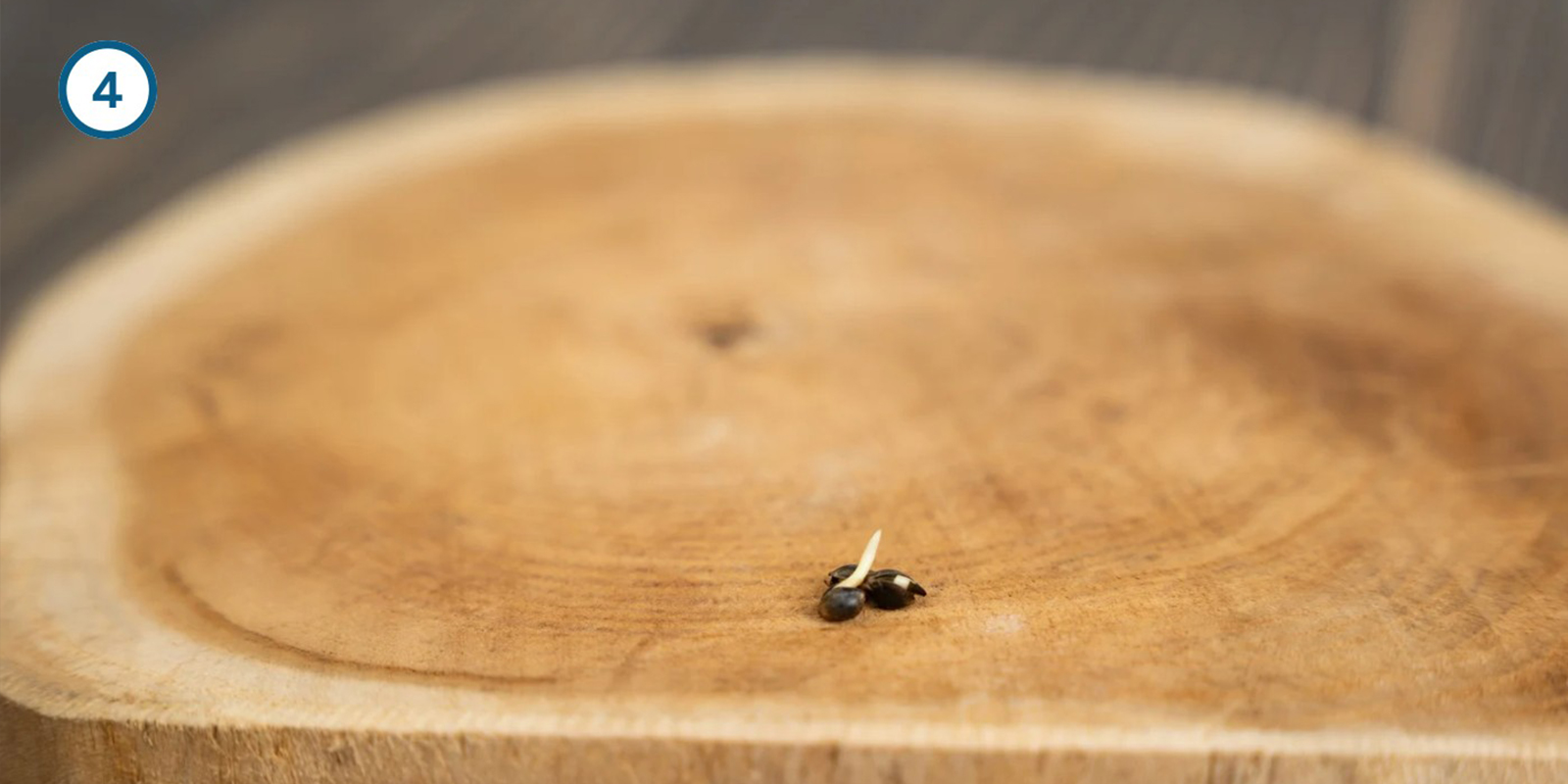 Methode met weken in water