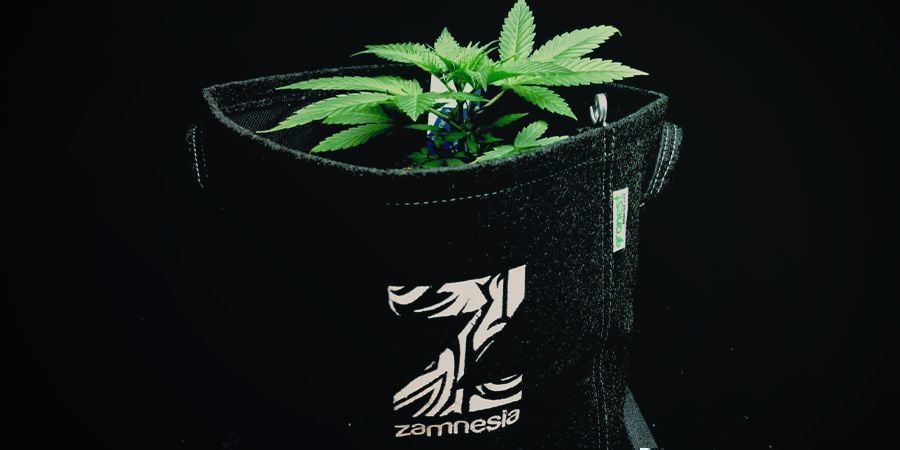 Stoffen Potten Of Smart Pots Cannabis