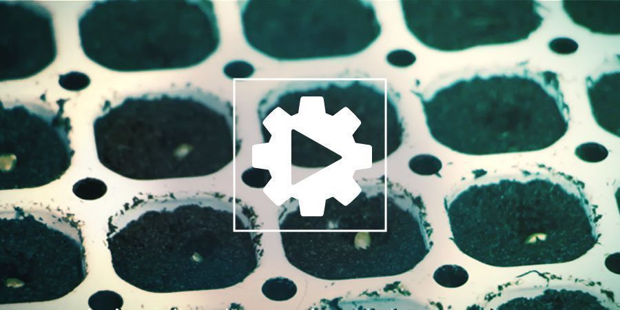 Zaadjes Ontkiemen Met Smart Start 