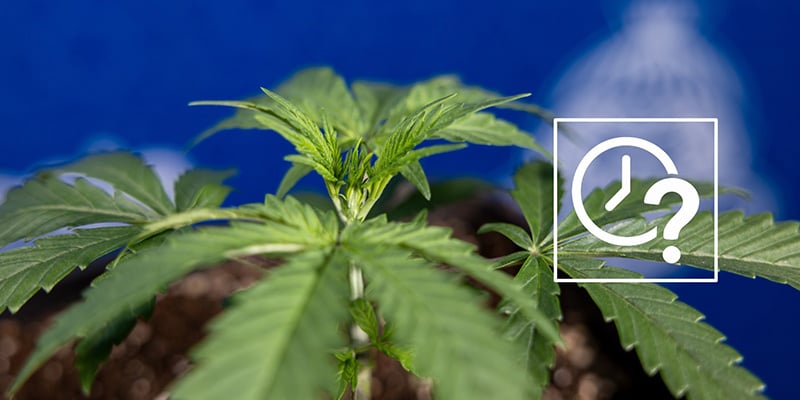 Wanneer moet je fimmen? Wanneer moet je fimmen?