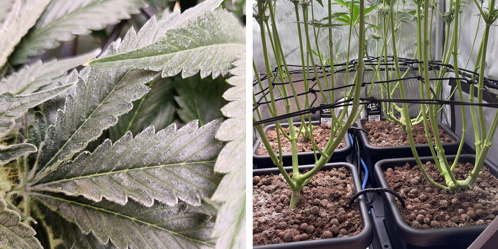 Blokkades in de luchtstroom