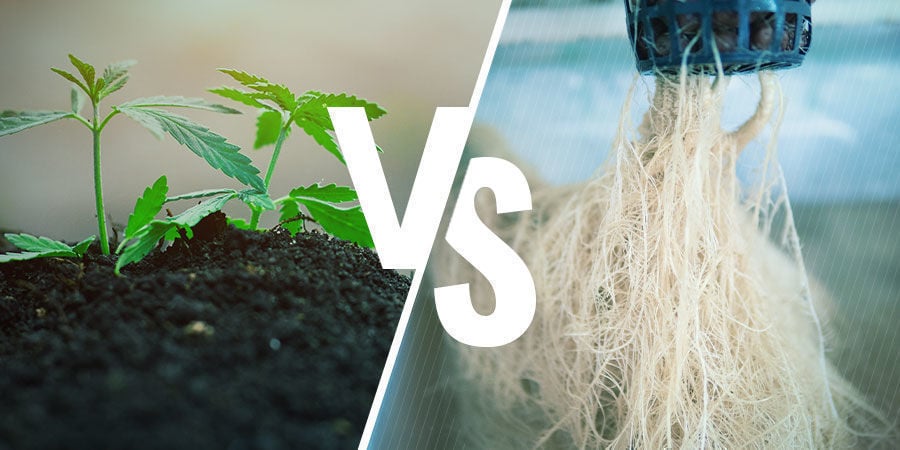 NPK: Aarde versus hydroponics