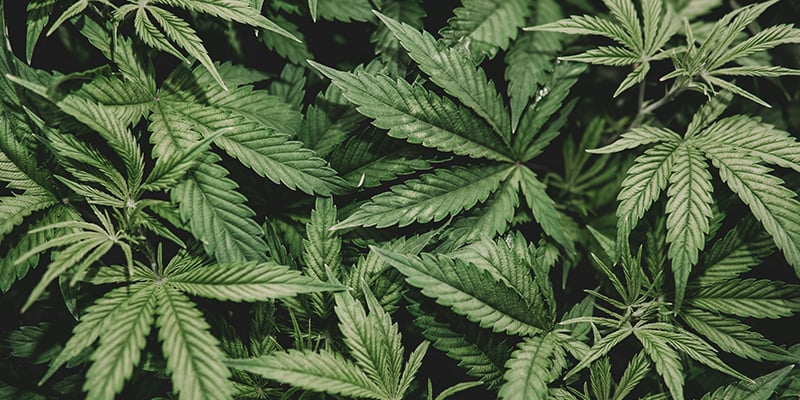 Veelgemaakte fouten om te vermijden Veelgemaakte fouten om te vermijden