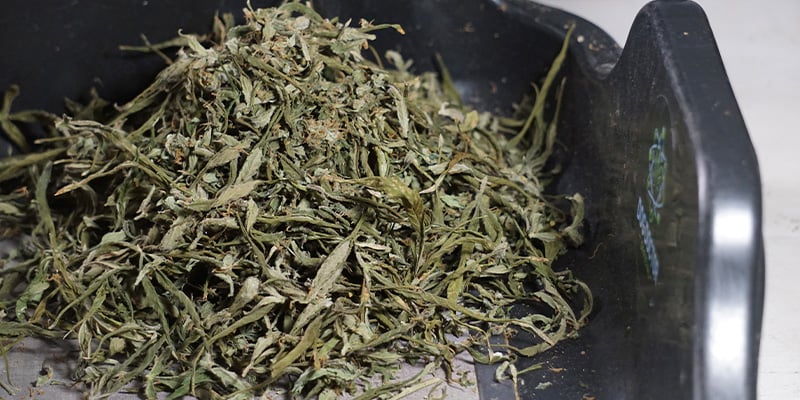 Geef je knipafval een tweede leven Geef je knipafval een tweede leven