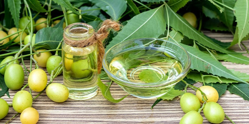 Is Neemolie Veilig Voor Wietplanten?