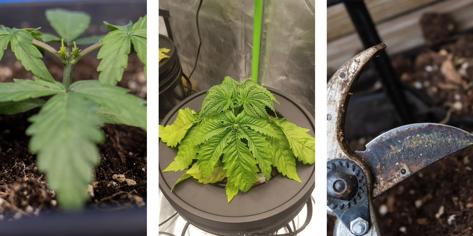 Veelgemaakte fouten om te vermijden Veelgemaakte fouten om te vermijden