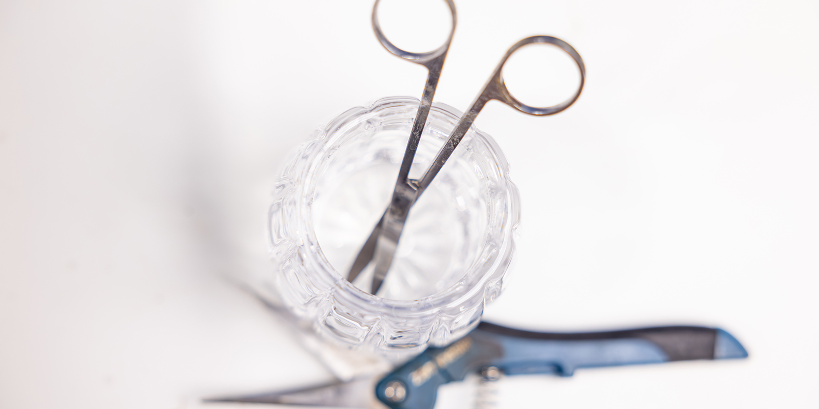Gereedschap en accessoires voor het ontbladeren