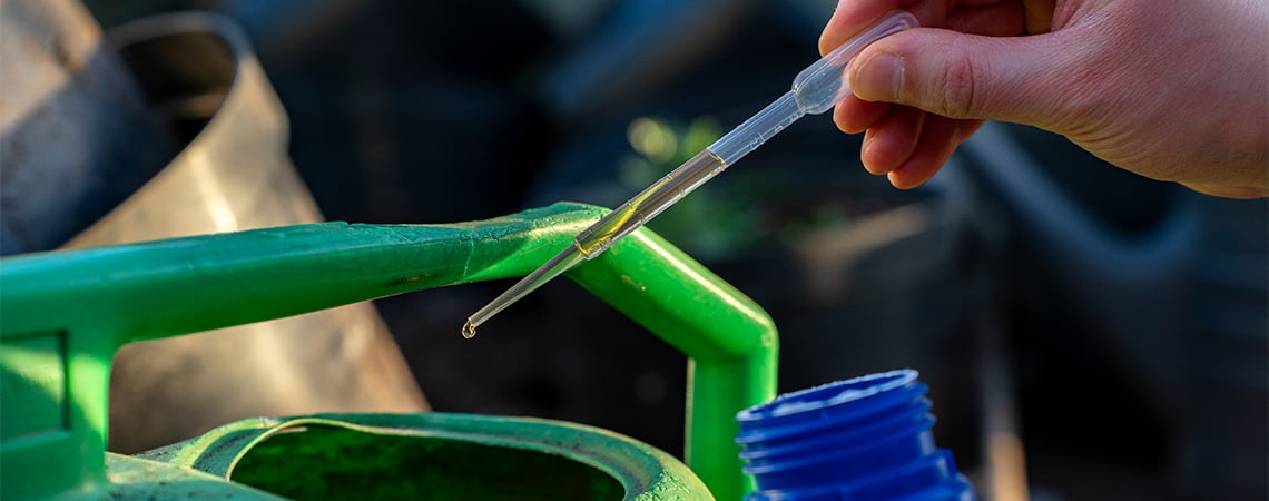 Hebben Autoflowers Voedingsstoffen Nodig? Hebben Autoflowers Voedingsstoffen Nodig?
