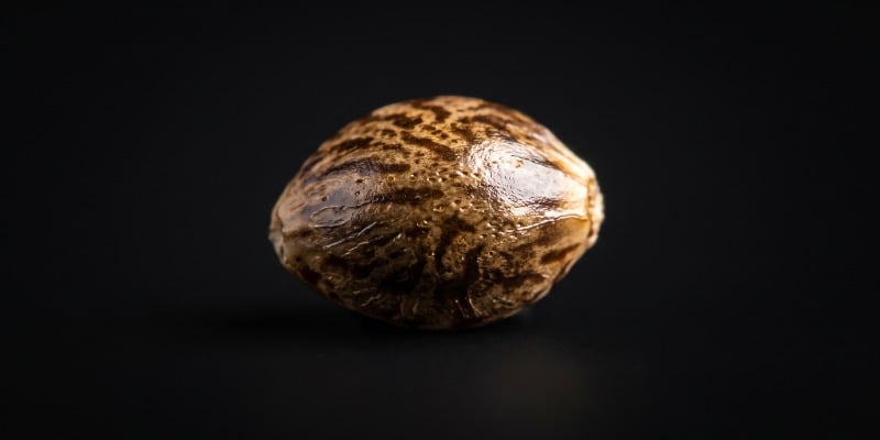 Wat zijn feminized wietzaadjes?