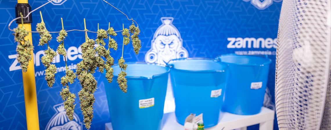Bud washing: wat is het en waarom zou je het doen?