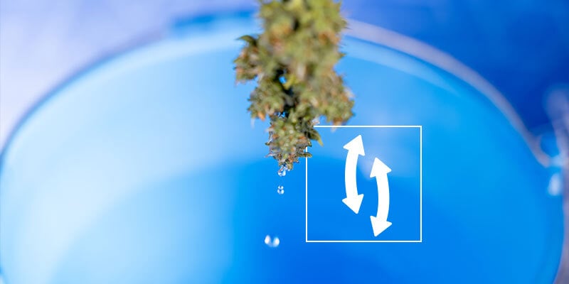 Stap 4: Overtollig water afschudden
