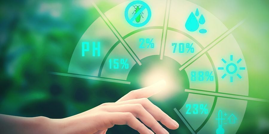 Wietplanten, magnesium en de pH-waarde