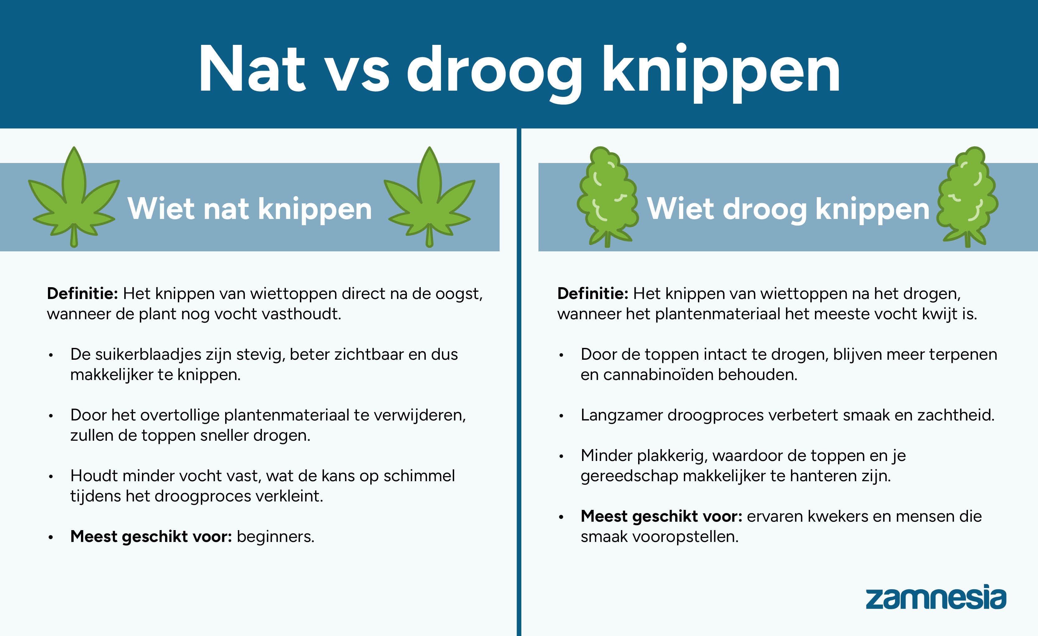Nat versus droog knippen: wat is beter?