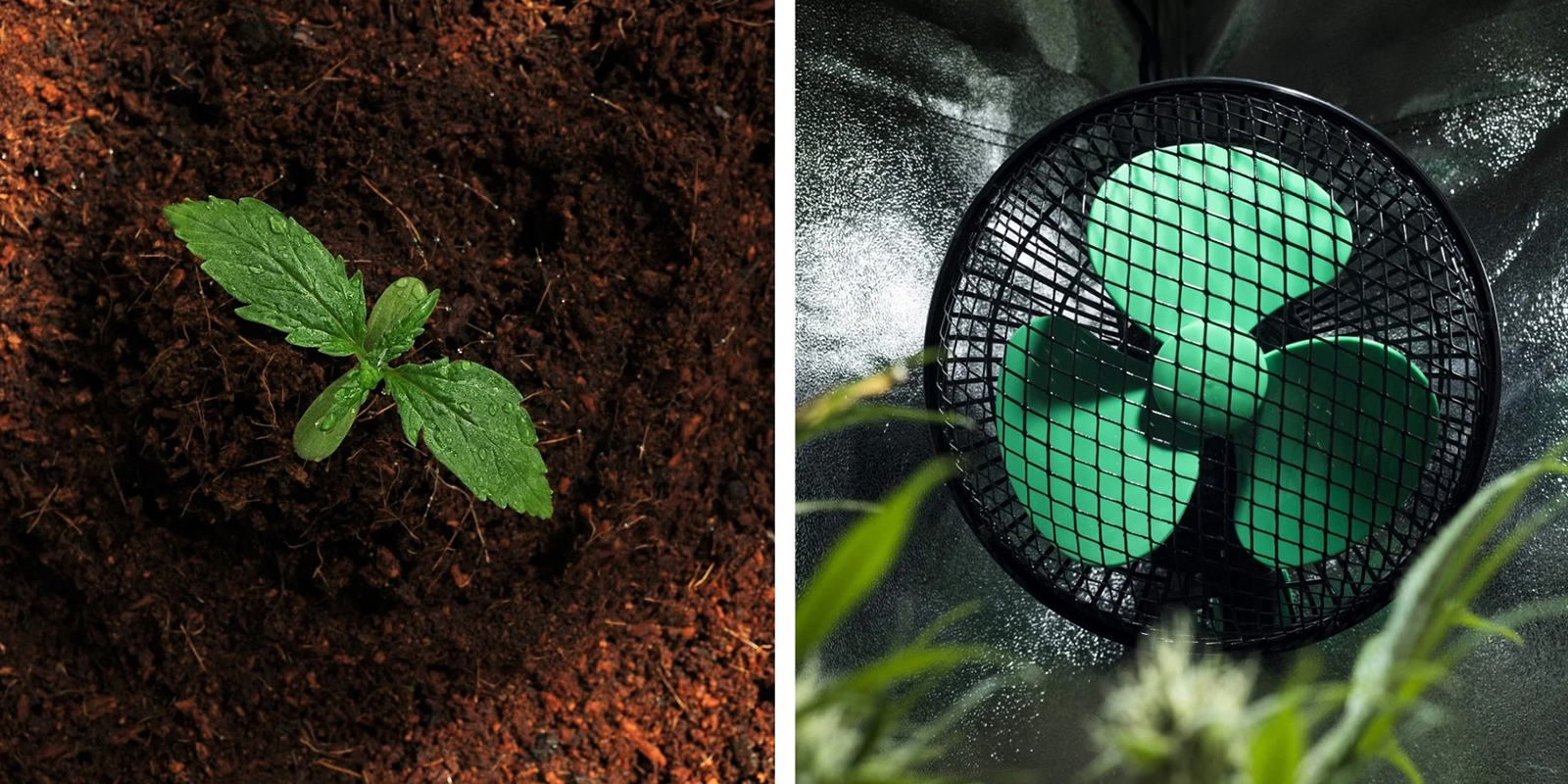 Goede aarde en airflow zijn essentieel