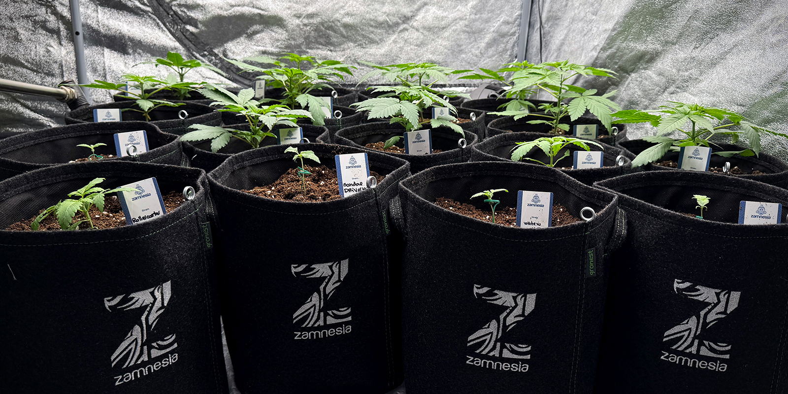 Gebruik kleinere potten (4&ndash;6 L)