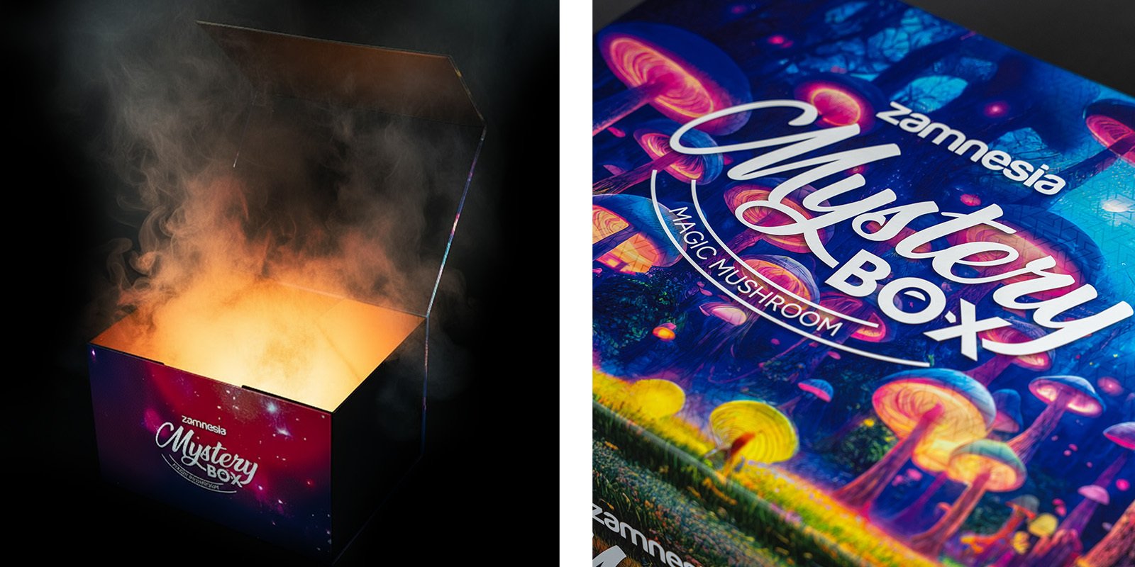 Magic Mushroom Mystery Box: de ultieme Zamnesia ervaring Magic Mushroom Mystery Box: de ultieme Zamnesia ervaring