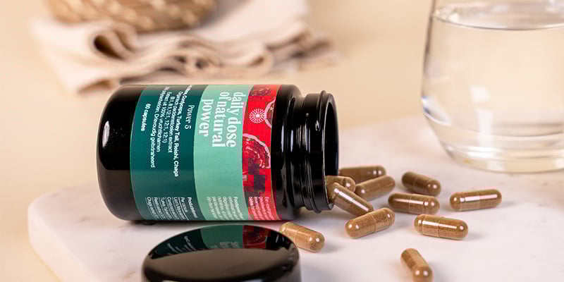Power 5 Paddenstoelcapsules (Foodsporen)