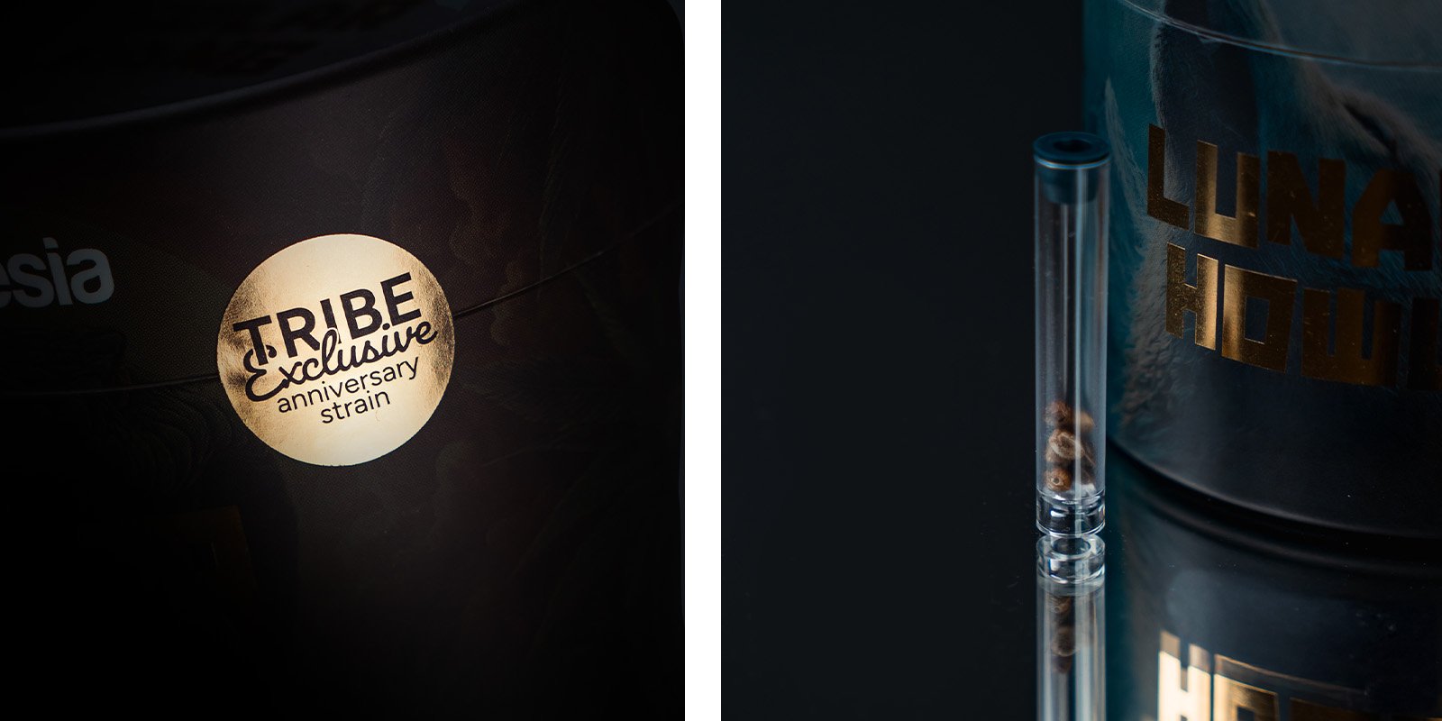 Smaken, aroma's en effecten van Lunar Howl: een geurige sensatie met gassy en snoepachtige elementen Smaken, aroma's en effecten van Lunar Howl: een geurige sensatie met gassy en snoepachtige elementen