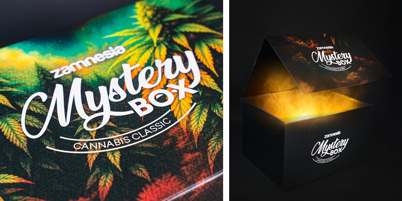 Cannabis Mystery Box: de ultieme verrassing van Zamnesia Cannabis Mystery Box: de ultieme verrassing van Zamnesia
