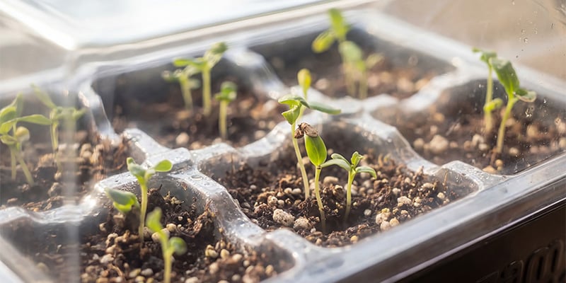 Perfect voor elke kweker