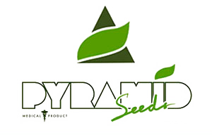 Pyramid Seeds Logo Pyramid Seeds Logo