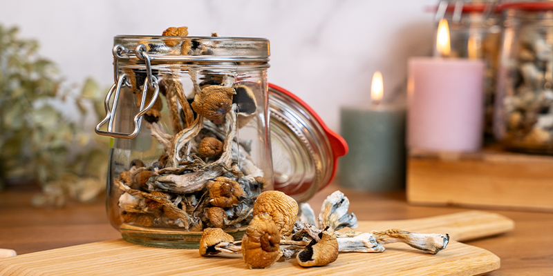 Kies de juiste paddenstoelen voor je warme chocolademelk