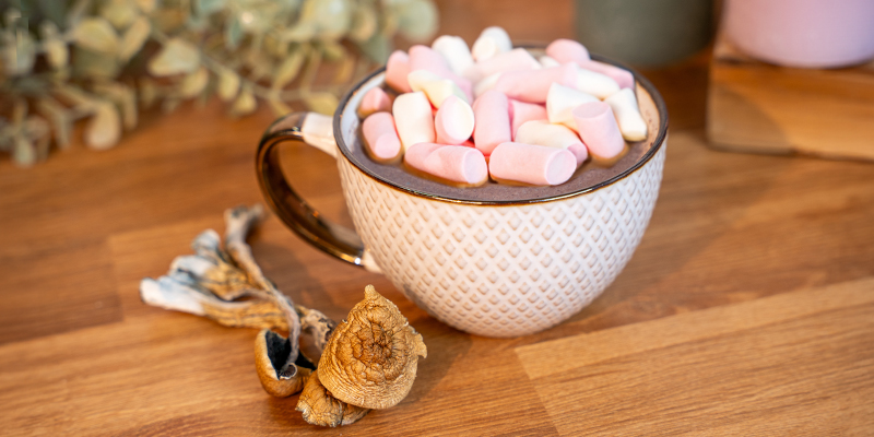 Wat is chocolademelk met paddenstoelen?