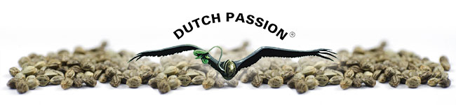 Dutch Passion Seeds