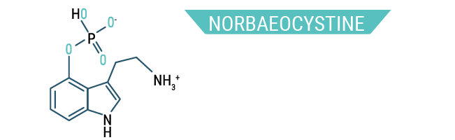 Norbaeocystine Norbaeocystine