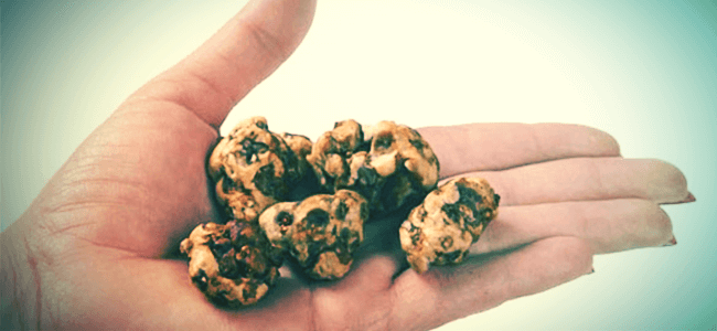 WAT ZIJN MAGIC TRUFFELS?