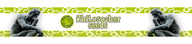 Philosopher Seeds Philosopher Seeds