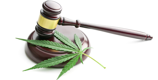 Legaliteit cannabis Legaliteit cannabis