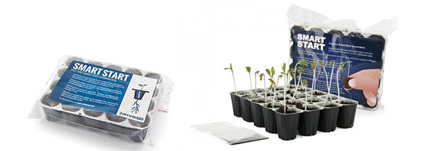Smart start cannabis kweken Smart start cannabis kweken