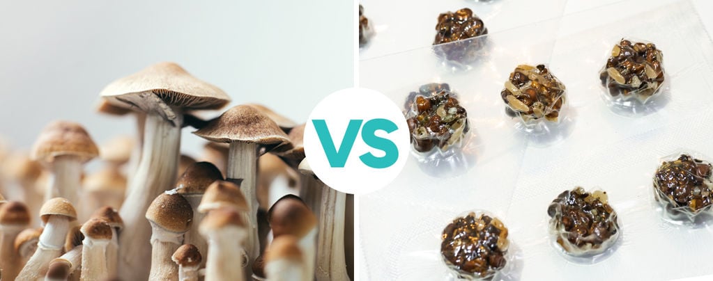 Wat is het verschil tussen magic truffles en paddo's?