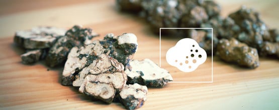 Hoe Werken Magic Truffels?