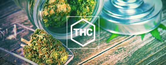 Alles Wat Je Moet Weten Over THC