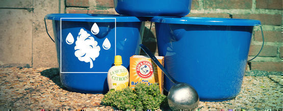 Bud Washing: Wat Is Het En Waarom Zou Je Het Doen?