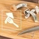 De Beste Manieren Om Paddo's Te Gebruiken