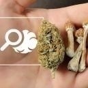 Alles Wat Je Over Het Microdoseren Van Psychedelica En Wiet Moet Weten