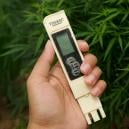 Beste EC voor cannabis