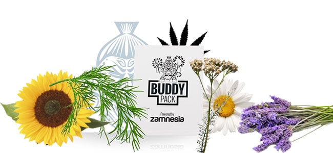 Cannabis metgezel trekken insect Cannabis metgezel trekken insect