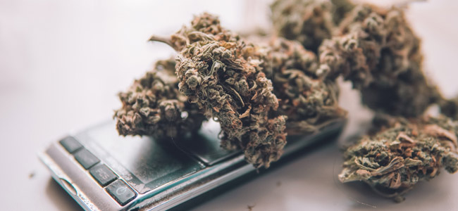 Schaal weegt cannabis af Schaal weegt cannabis af